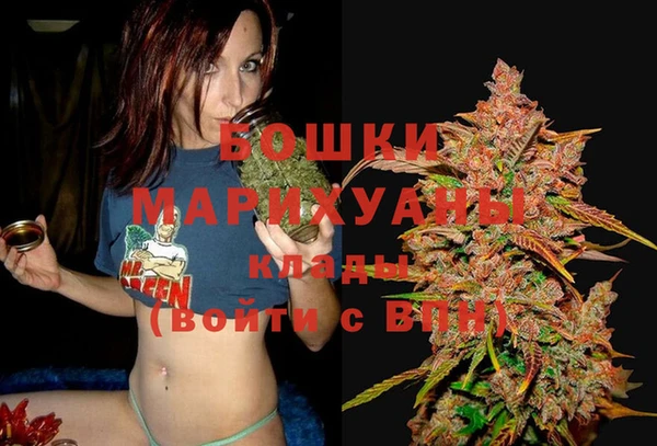 стафф Нефтекумск