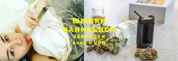 стаф Нефтегорск