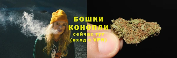 стафф Нефтекумск