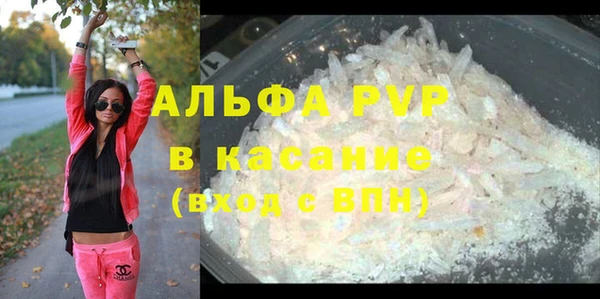 стафф Нефтекумск