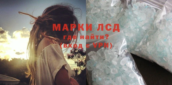 стаф Нефтегорск