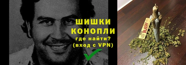 стаф Нефтегорск