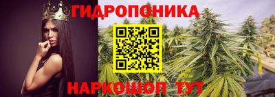 гидропоника Славянск-на-Кубани