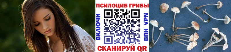 Галлюциногенные грибы прущие грибы  Ялта 