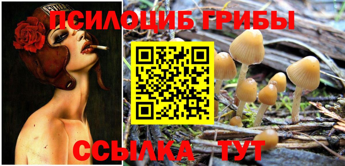 Галлюциногенные грибы MAGIC MUSHROOMS  Галлюциногенные грибы прущие грибы  Ялта  Вход с VPN 
