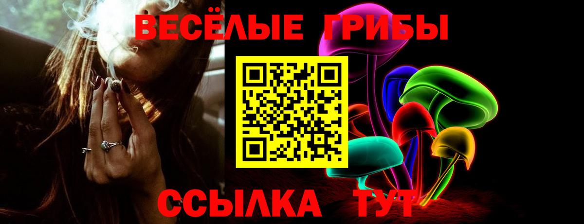 Псилоцибиновые грибы Cubensis Ялта